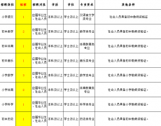 2021广东东莞市松山湖横沥实验学校招聘教师12人