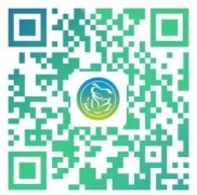 2021广东东莞长安公开招聘特聘教师和编外教职工