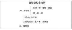 初中生物《食物链和食物网》教案